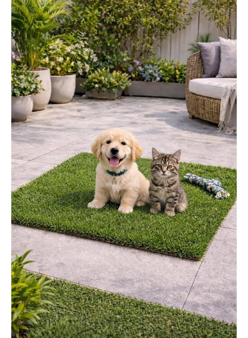 2cm artificial grass for dogs and cats – an alternative to an indoor garden – easy to clean and suitable for puppies and small dogs – non-slip base (80cm by 1 meter) - Image 1